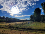 20220611_081030.jpg
