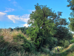 20220611_082037.jpg