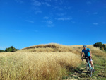 20220611_084845.jpg