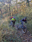 WhatsApp Image 2023-11-18 à 21.42.55_8accf84b.jpg